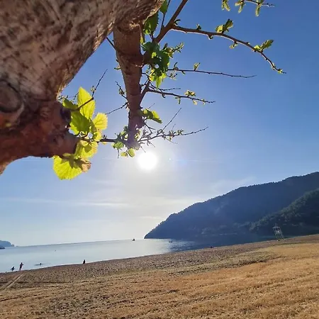 Ceneviz 3* 아드라산