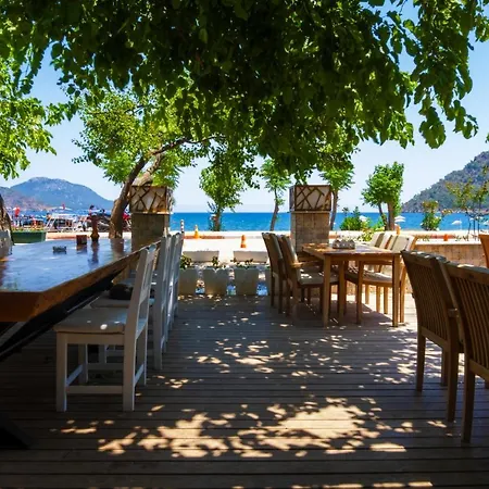 Ceneviz 아드라산