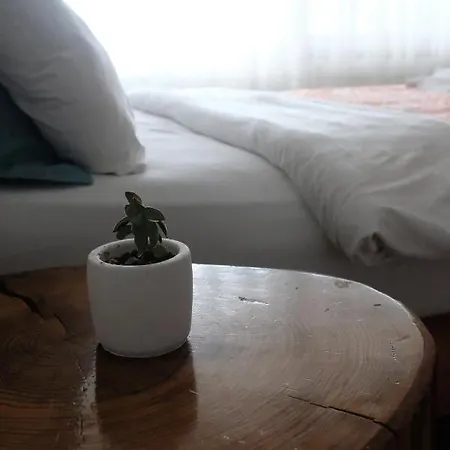 Ceneviz 아드라산