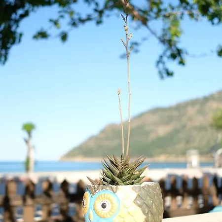 Ceneviz 3* 아드라산