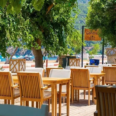 Ceneviz Hotel 3*