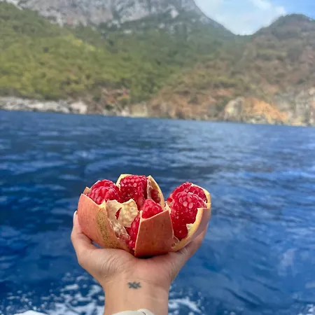 Ceneviz Adrasan
