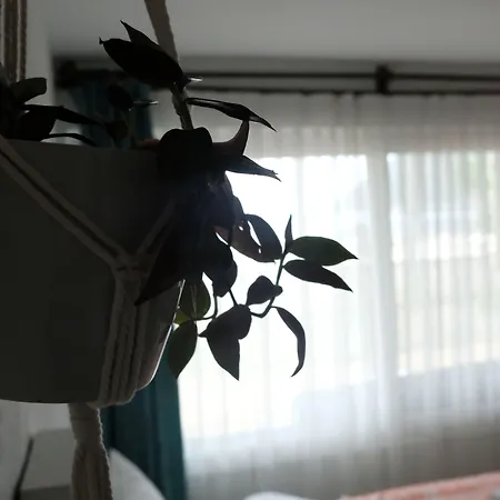 Ceneviz 호텔 아드라산