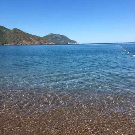 Ceneviz 아드라산