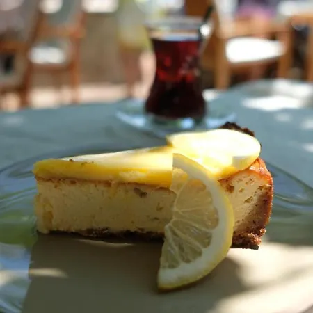 Ceneviz فندق